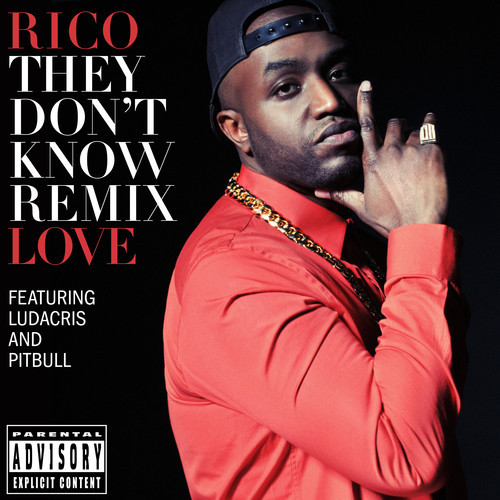 New Music: Rico Love feat. Ludacris & Pitball – They Don’t Know (Dance Remix)