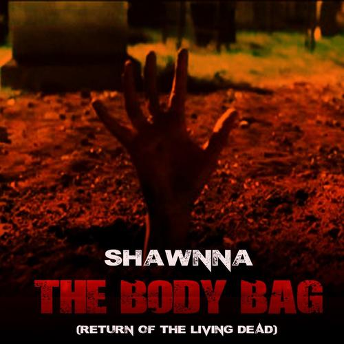 Shawnna The Body Bag (Freestyle)